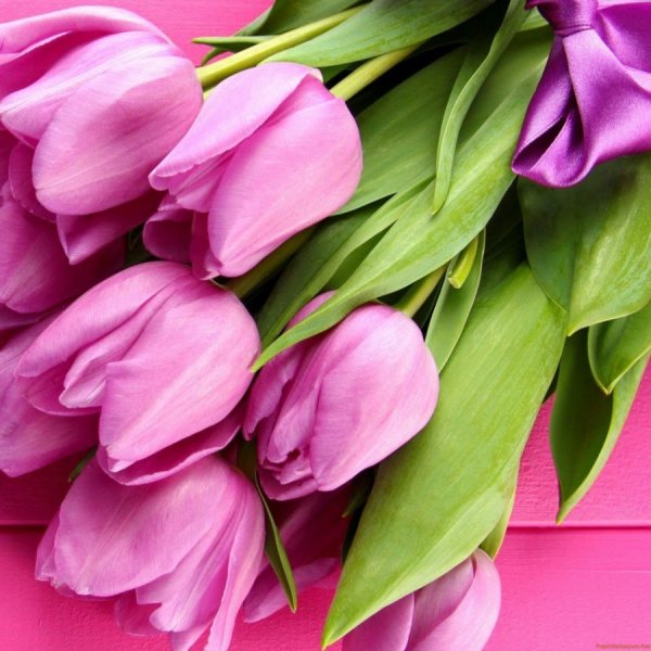 Бабушке и дедушке от внучки