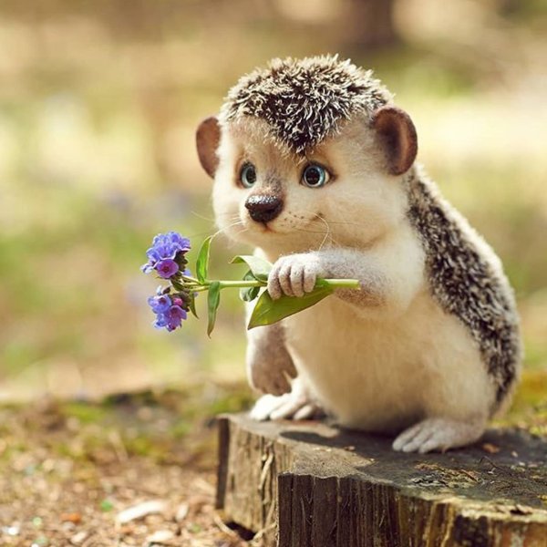 Позитивный сайт для поднятия настроения