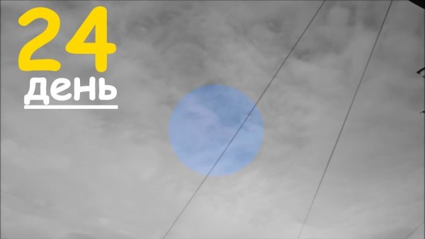 День двадцать четвертый