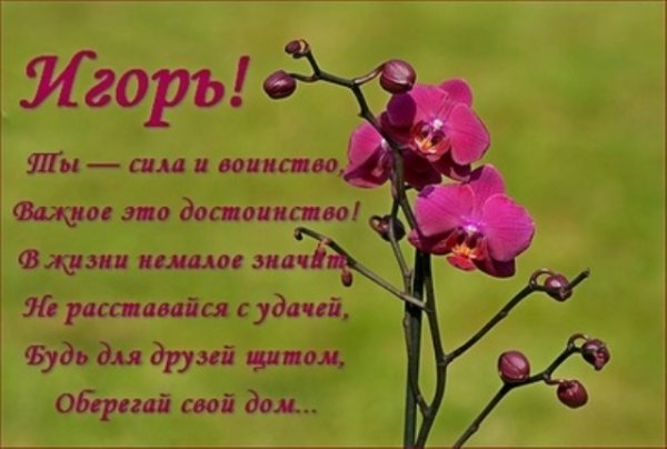 С днём рождения Игорь
