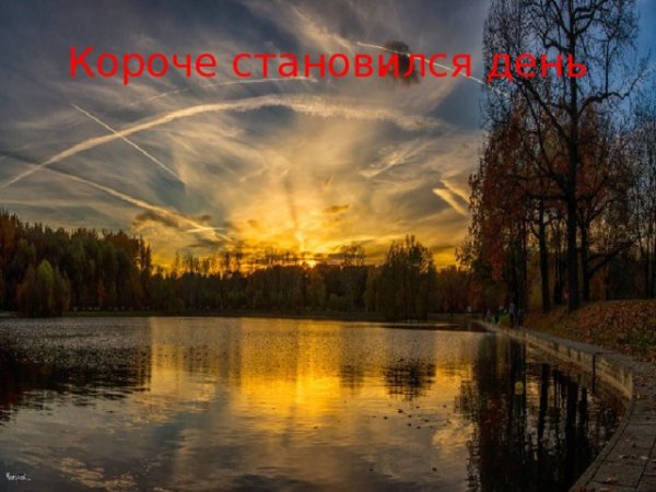 Осень дни короче