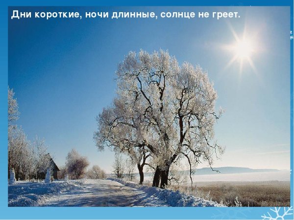 Зимой дни короткие а ночи длинные