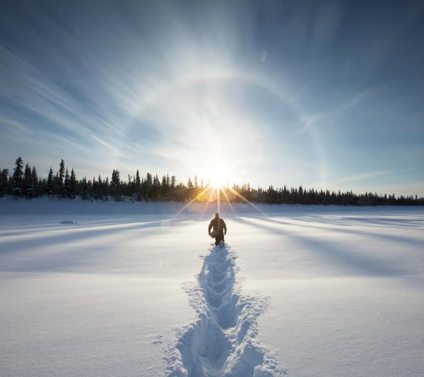 Шутки про весну