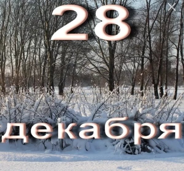 28 Декабря день