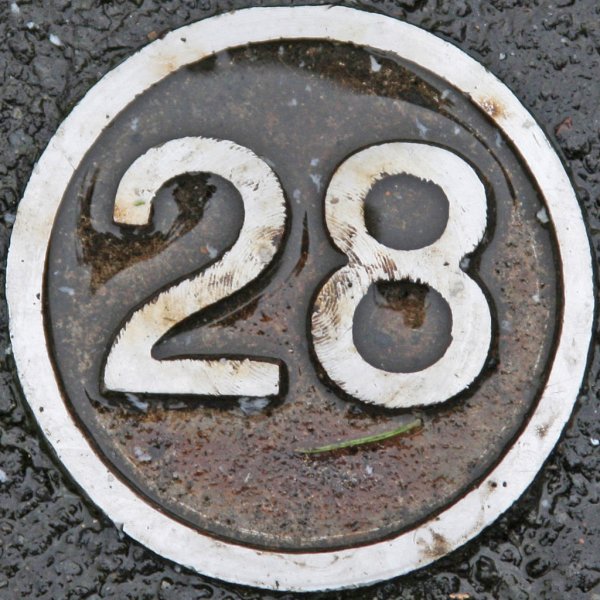 Цифра 28