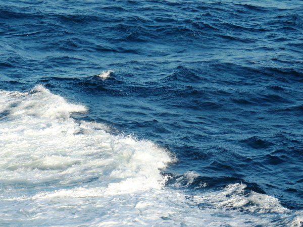 Всемирный день моря (World Maritime Day)