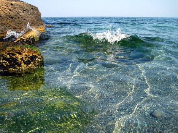 День моря картинки