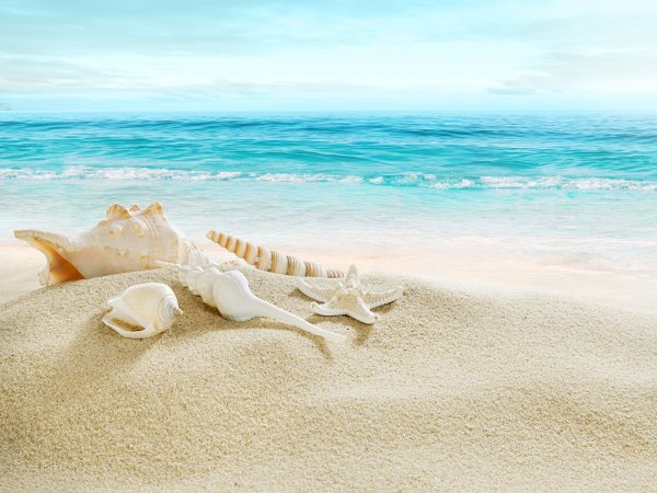 Лето море пляж