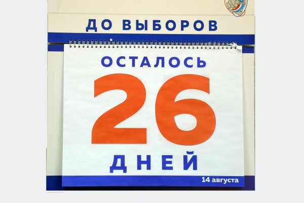 Календарь до выборов осталось