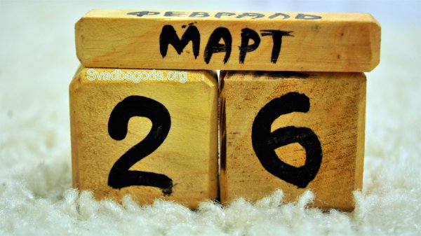 26 Февраля