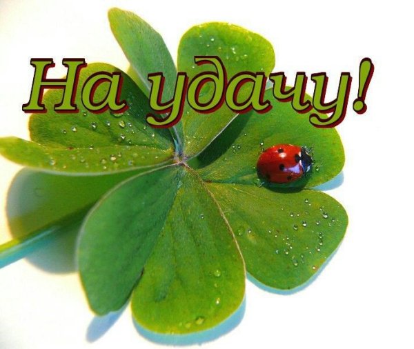 Хорошего дня и удачи