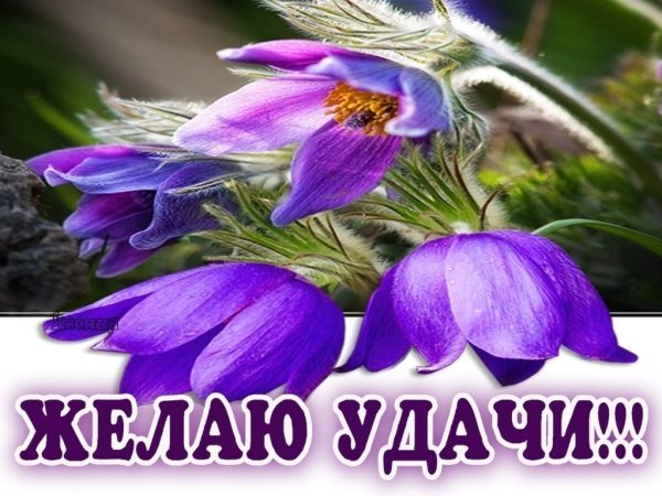 Открытка "удачи!"