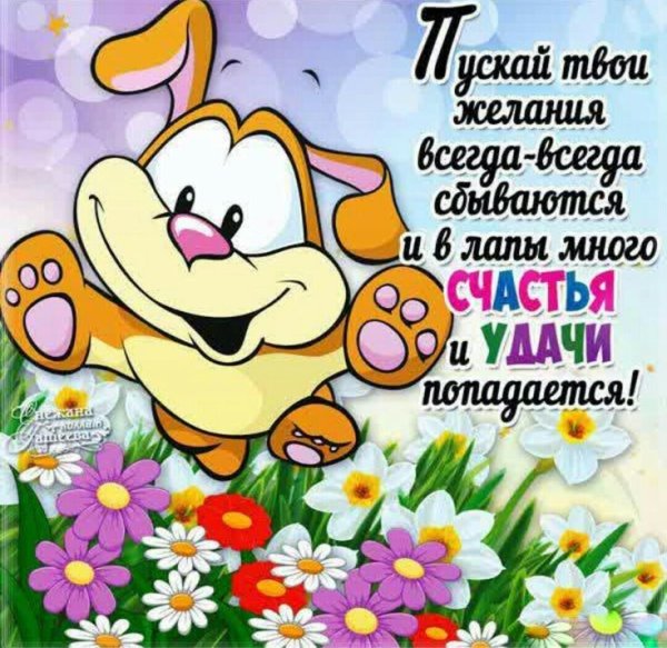 Забавные картинки с пожеланиями