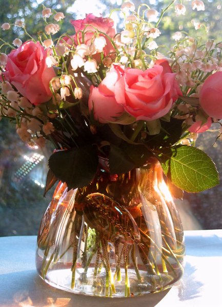 Шикарные цветы в вазе