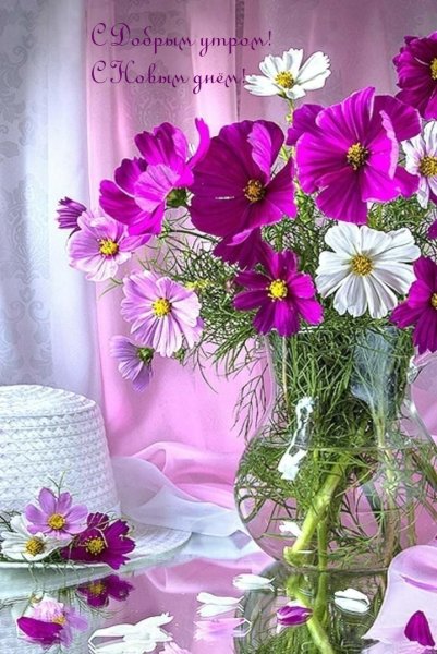 Восхитительные цветы