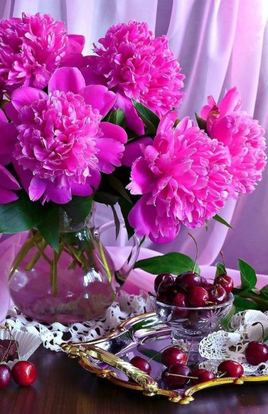 Утренние пионы