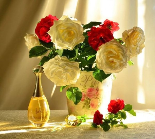 Цветы в вазе на солнце