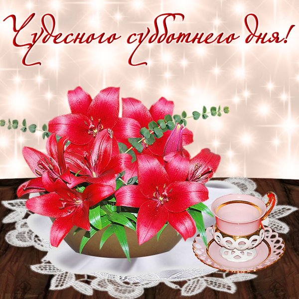 Чудесного дня