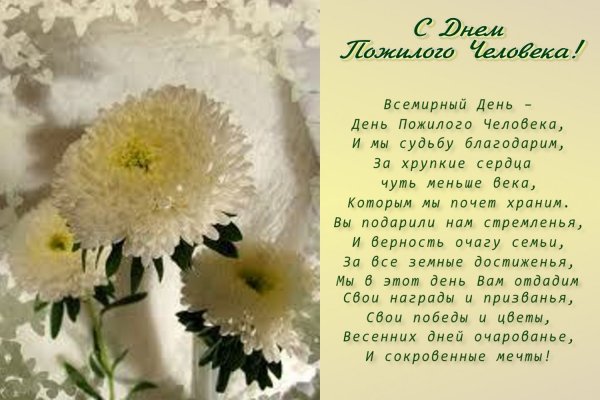 День пожилого человека заставка