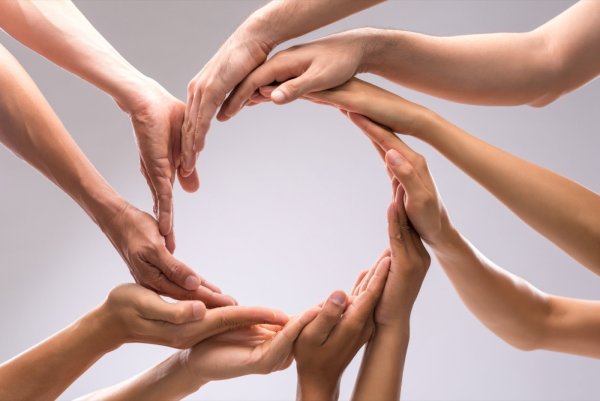 Руки единство