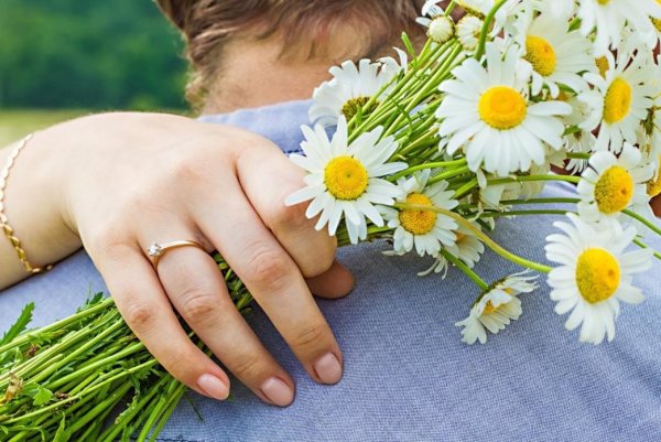 Букет ромашек в руках