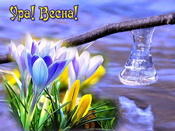 Открытки с первым днем весны