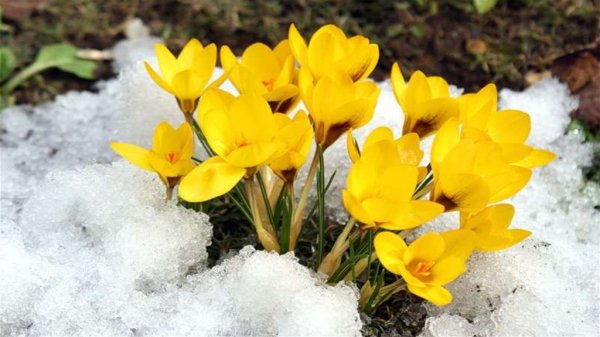 Праздник прихода весны