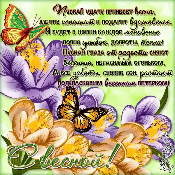 Первоцветы в снегу