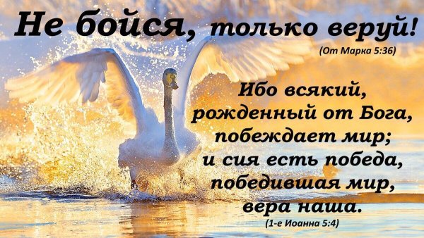 Стихи из Библии