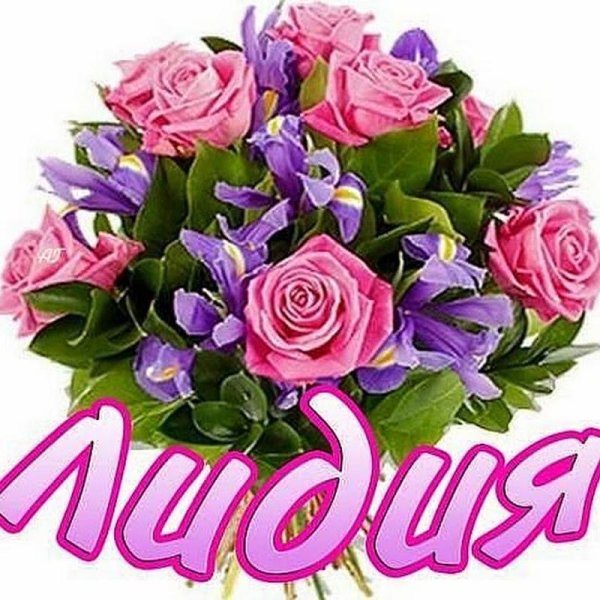 С днём рождения Лида