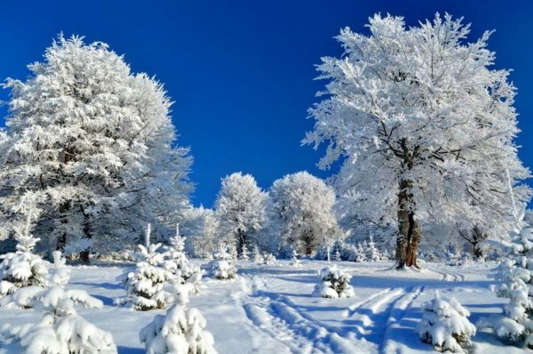 Первый день зимы