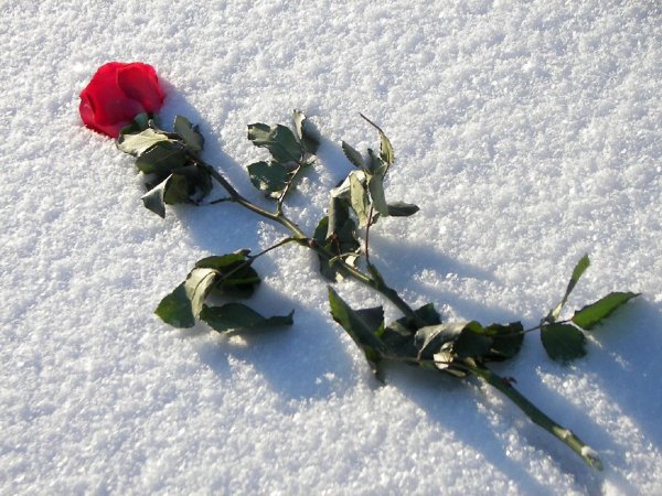 С зимой поздравления