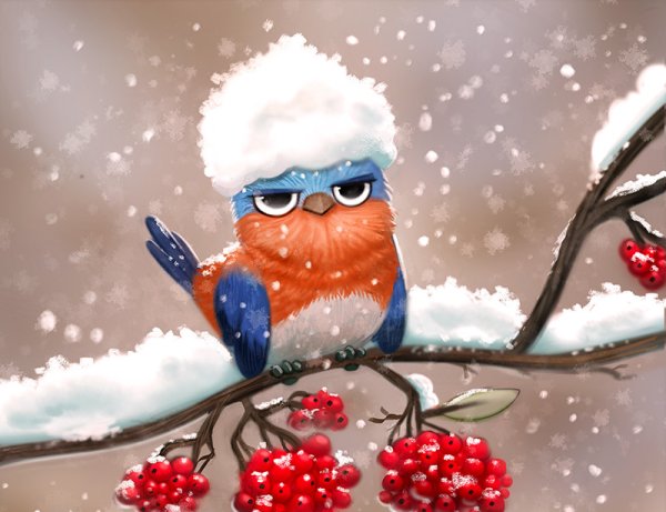 Открытки с наступлением зимы