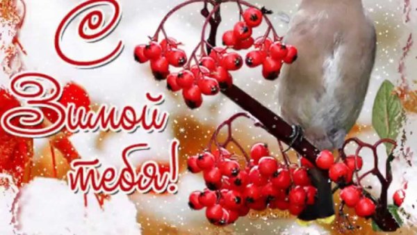 Иллюстрации с 1 днем зимы