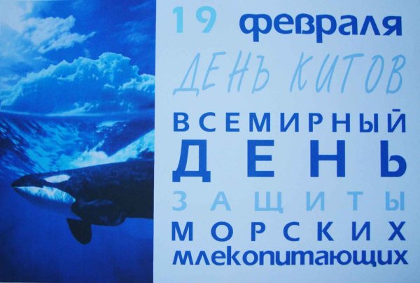 19 Февраля Всемирный день защиты морских млекопитающих