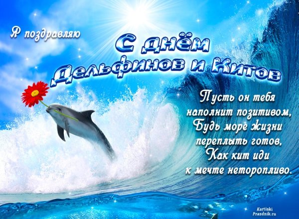 С добрым утром дельфины