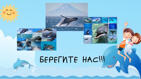 Всемирный день китов и дельфинов