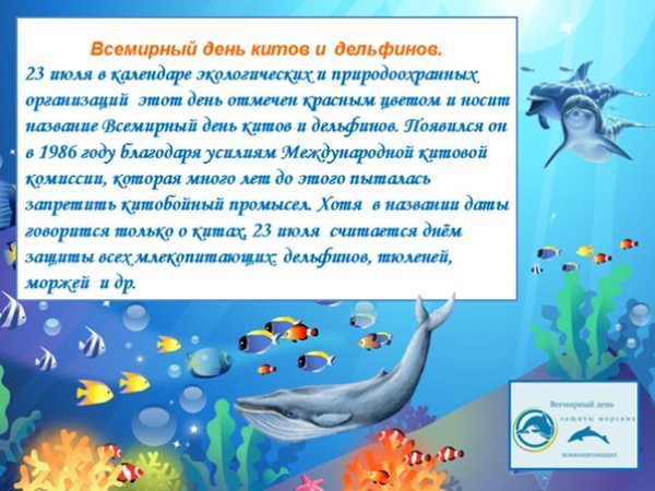 Всемирный день кита
