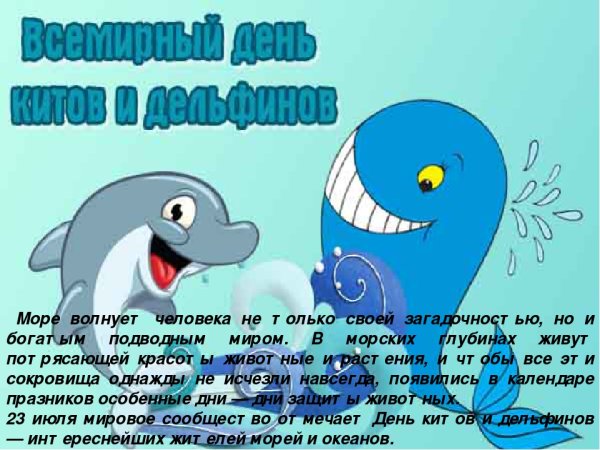 Всемирный день китов и дельфинов