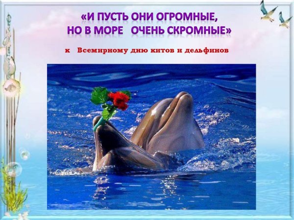 Международный день китов и дельфинов в детском саду