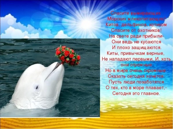 23 Июля - Всемирный день китов и дельфинов (с 1986 г.)