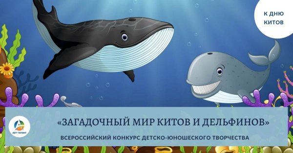 Загадочный мир китов и дельфинов