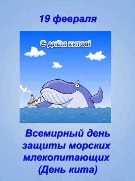 Всемирный день защиты морских млекопитающих (день кита)