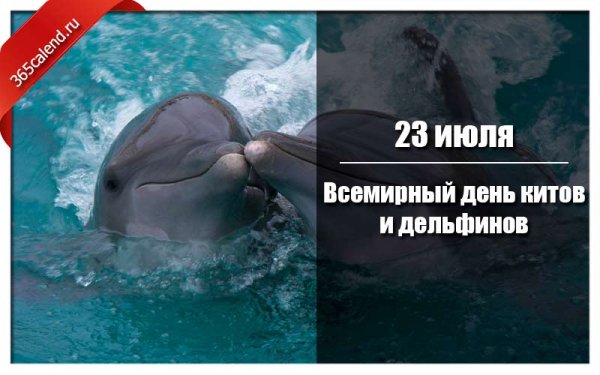 23 Июля день китов