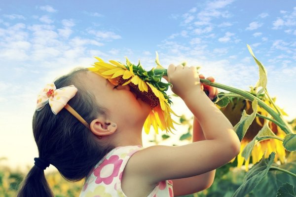 Оптимизм радость счастье