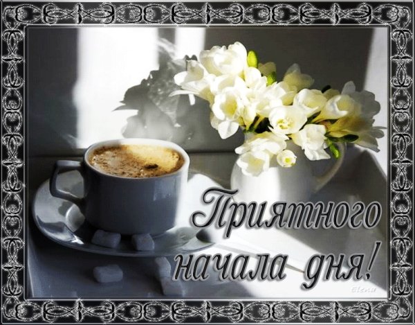 Новый день цитаты