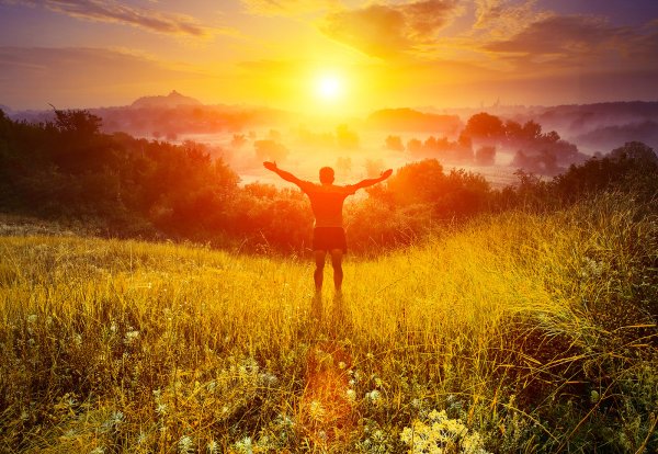 Утреннее чаепитие