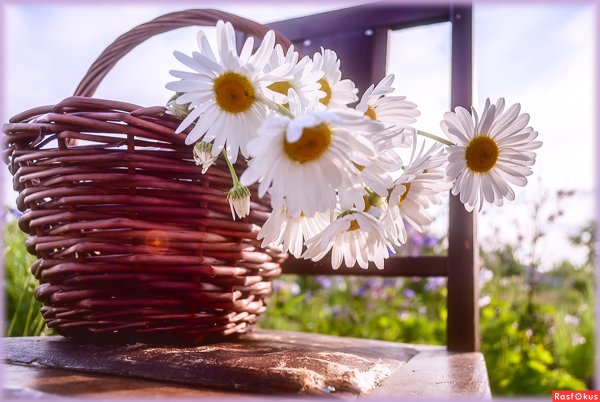 Позитивное утро