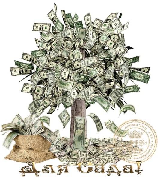 Денежное дерево с купюрами