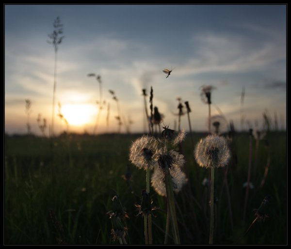 Уходящий человек с крыши